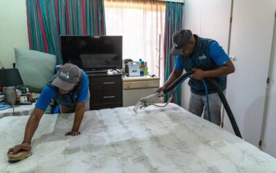 WHY IT’S BEST TO PROFESSIONALLY CLEAN YOUR MATTRESS
