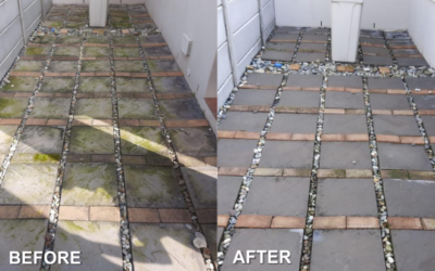 THE KEY BENEFITS OF PROFESSIONAL DRIVEWAY / PAVING CLEANING
